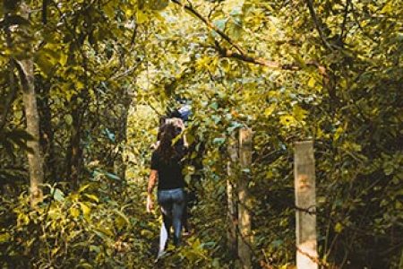 Nature Trail